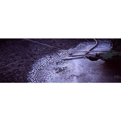 dailyPhoto23